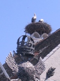 Storks in Rust. Photo: Anna Ehrlich.